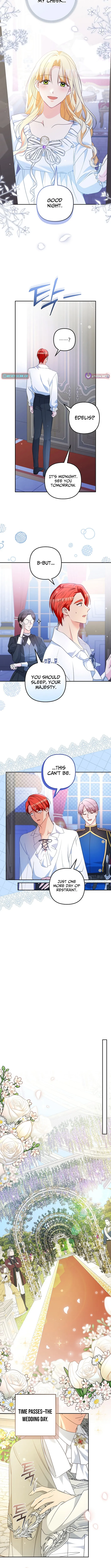 Stop Obsessing, Please Divorce Me! Chapter 22 page 6 - 