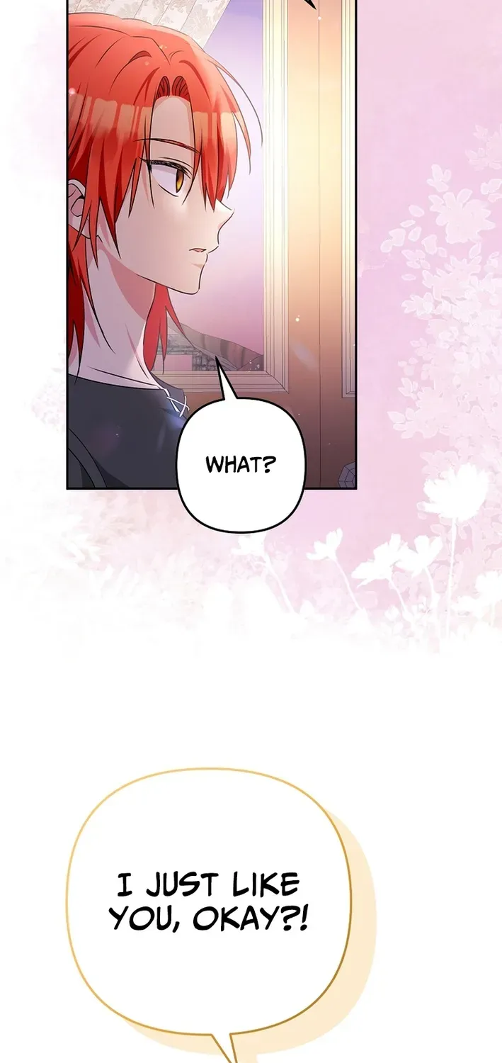 Stop Obsessing, Please Divorce Me! Chapter 3 page 15 - 