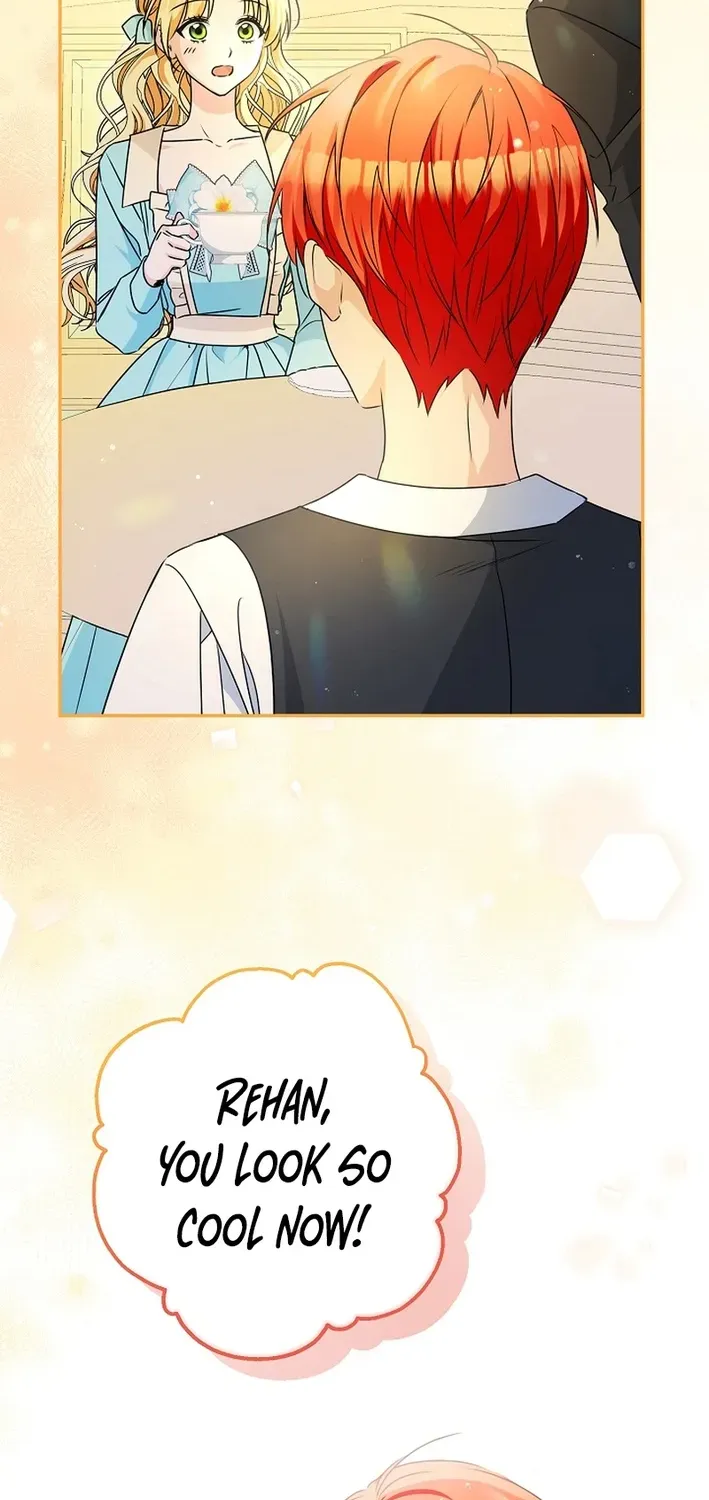Stop Obsessing, Please Divorce Me! Chapter 3 page 23 - 