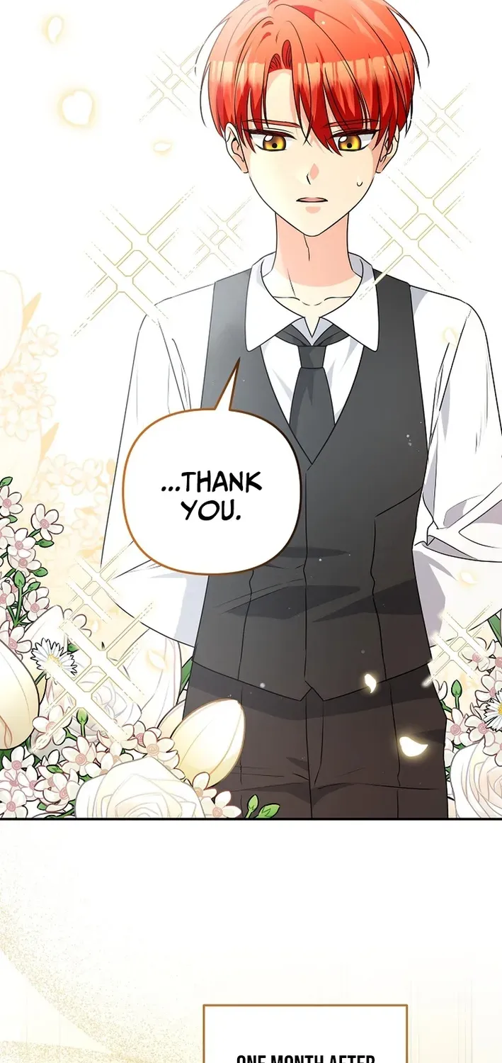 Stop Obsessing, Please Divorce Me! Chapter 3 page 24 - 