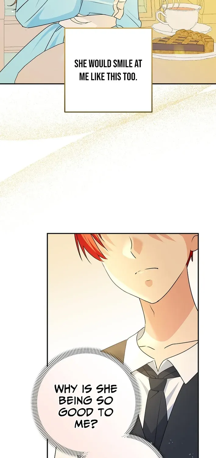 Stop Obsessing, Please Divorce Me! Chapter 3 page 31 - 