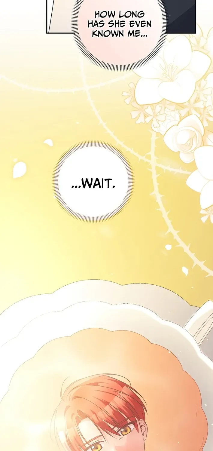 Stop Obsessing, Please Divorce Me! Chapter 3 page 32 - 