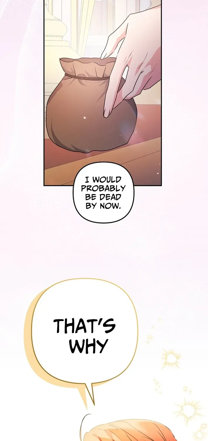 Stop Obsessing, Please Divorce Me! Chapter 3 page 67 - 