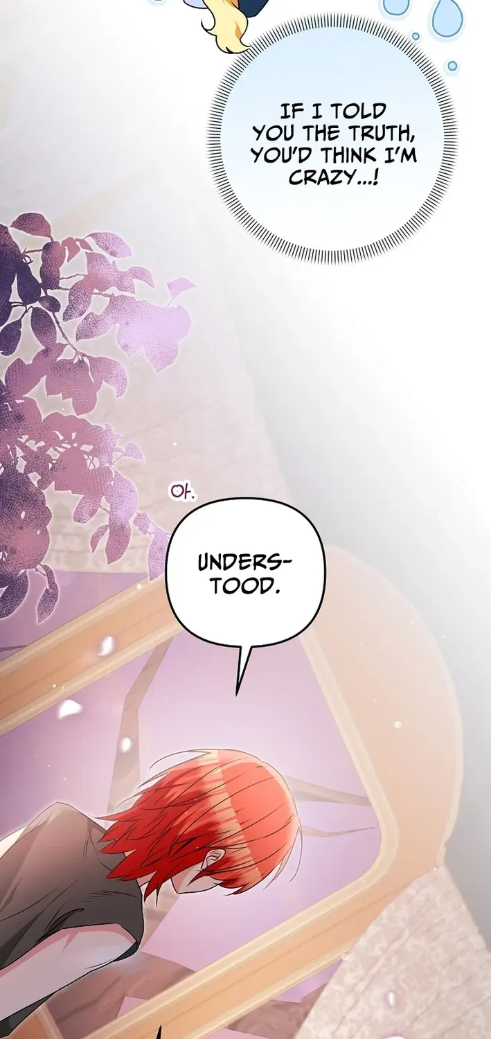 Stop Obsessing, Please Divorce Me! Chapter 3 page 9 - 