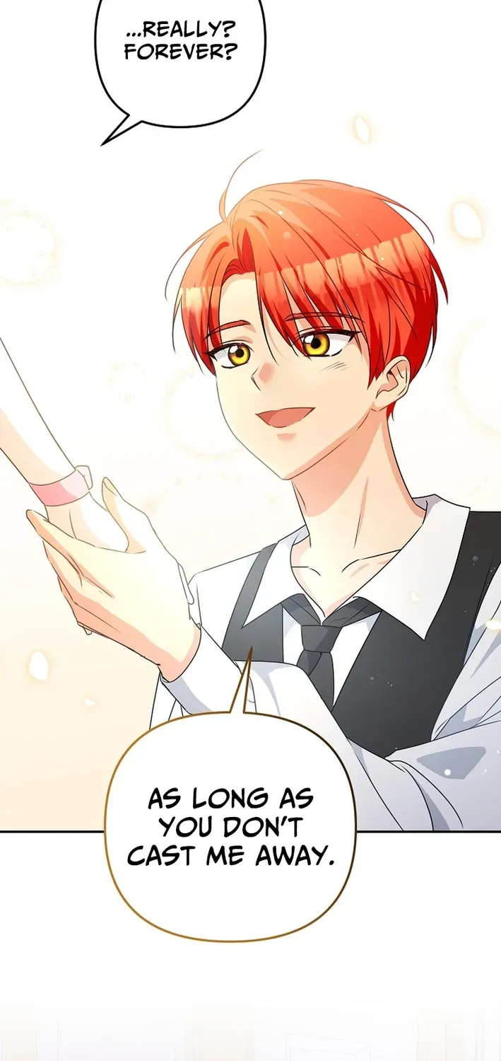 Stop Obsessing, Please Divorce Me! Chapter 3 page 87 - 