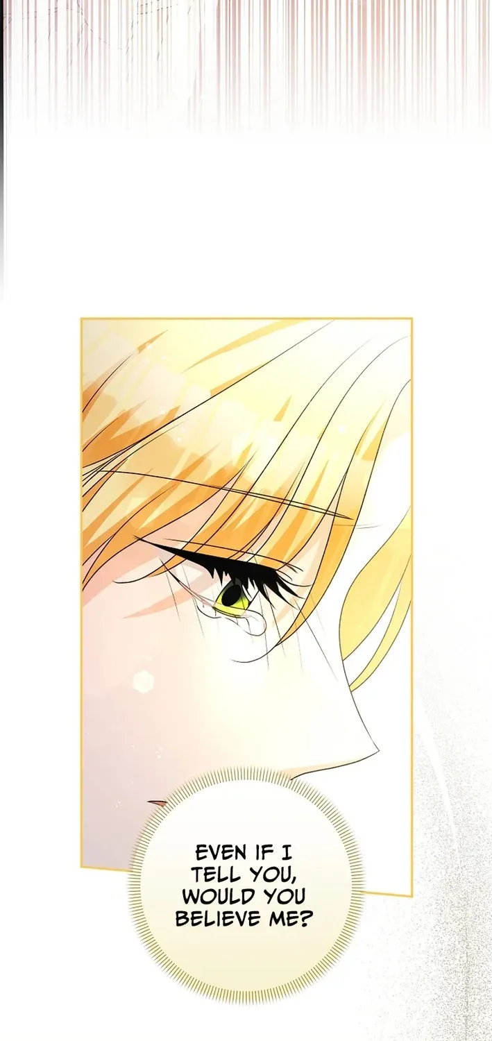 Stop Obsessing, Please Divorce Me! Chapter 4 page 41 - 