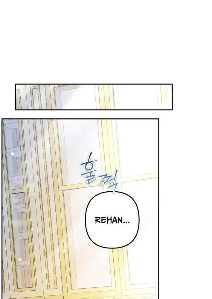 Stop Obsessing, Please Divorce Me! Chapter 4 page 91 - 