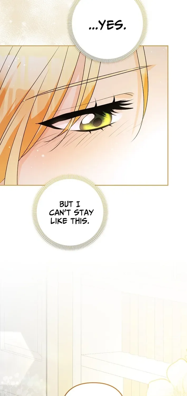 Stop Obsessing, Please Divorce Me! Chapter 4 page 94 - 