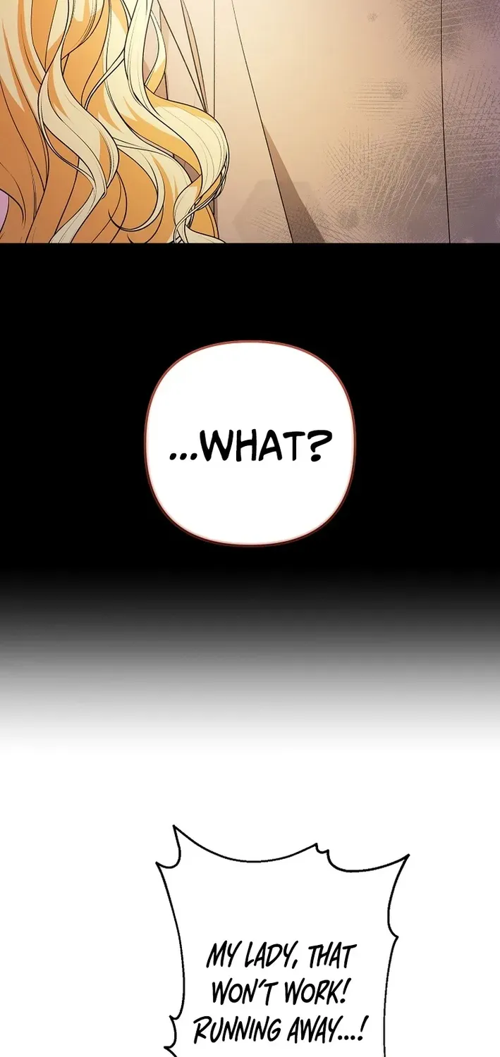 Stop Obsessing, Please Divorce Me! Chapter 5 page 4 - 