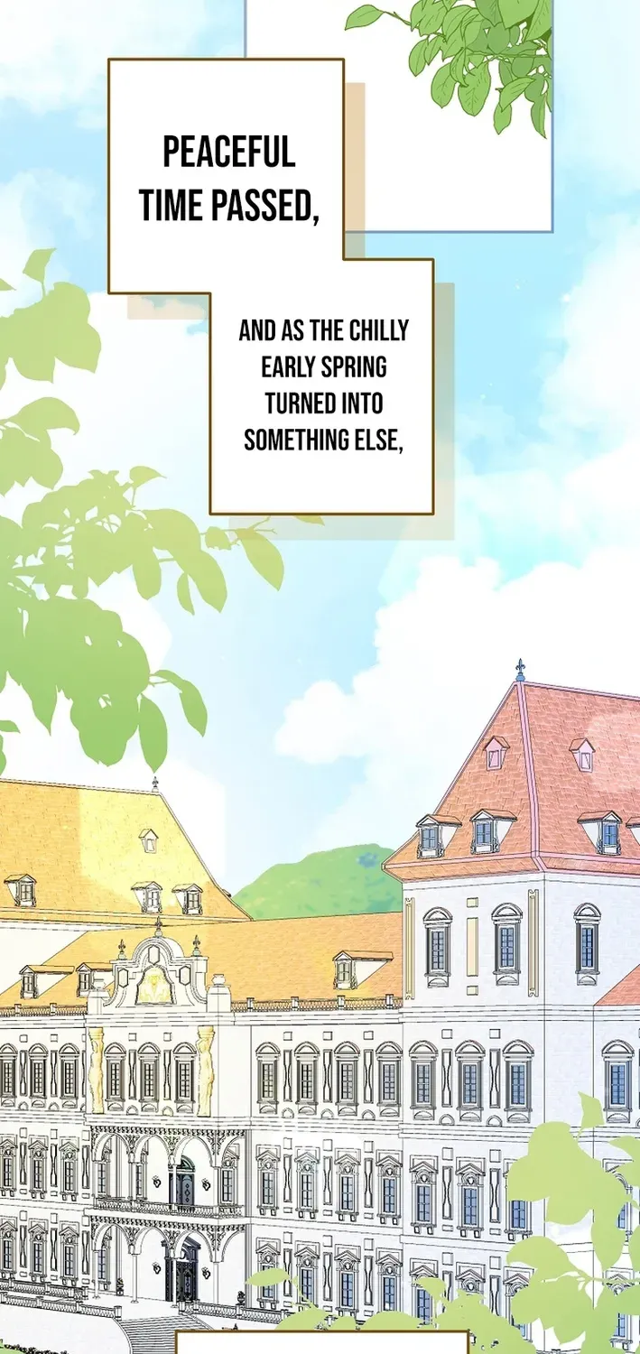 Stop Obsessing, Please Divorce Me! Chapter 5 page 45 - 