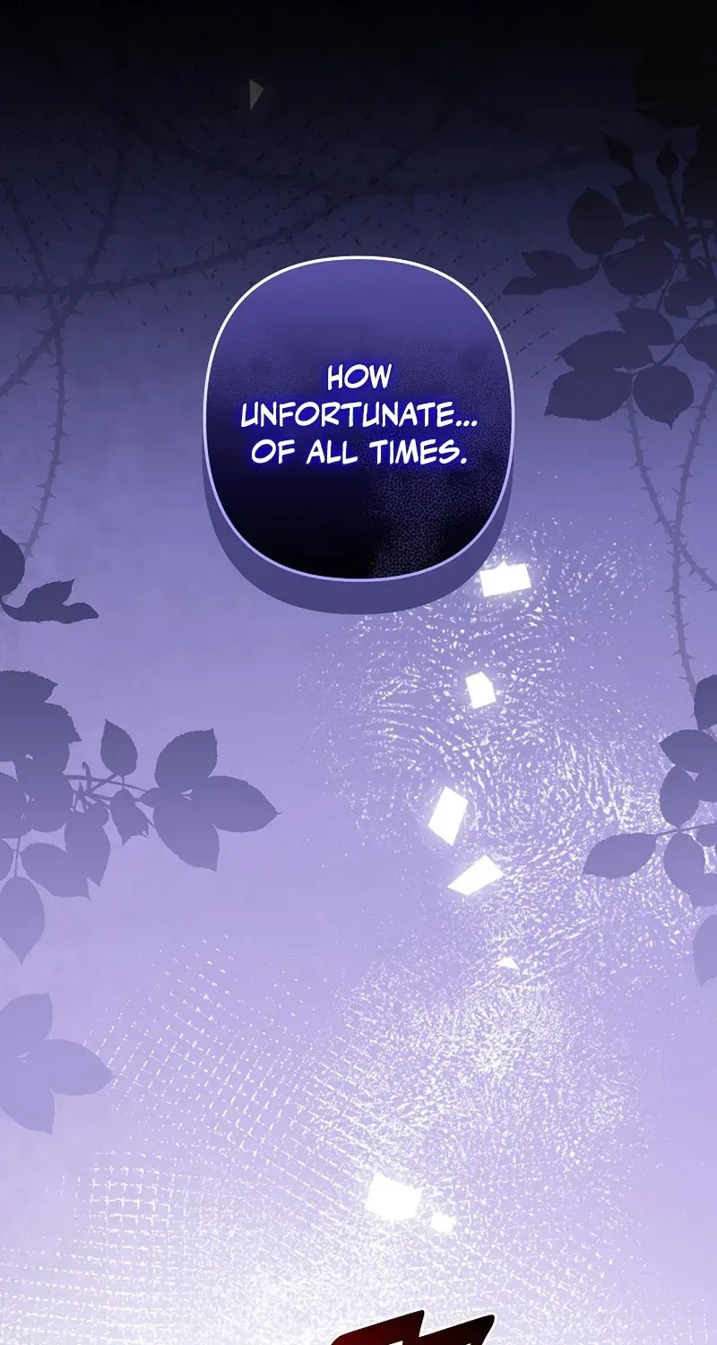 Stop Obsessing, Please Divorce Me! Chapter 6 page 13 - 