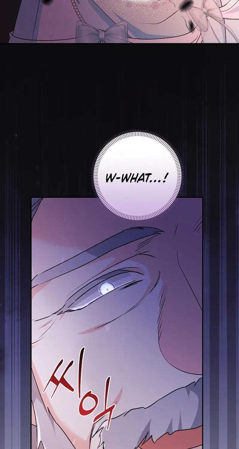 Stop Obsessing, Please Divorce Me! Chapter 6 page 19 - 