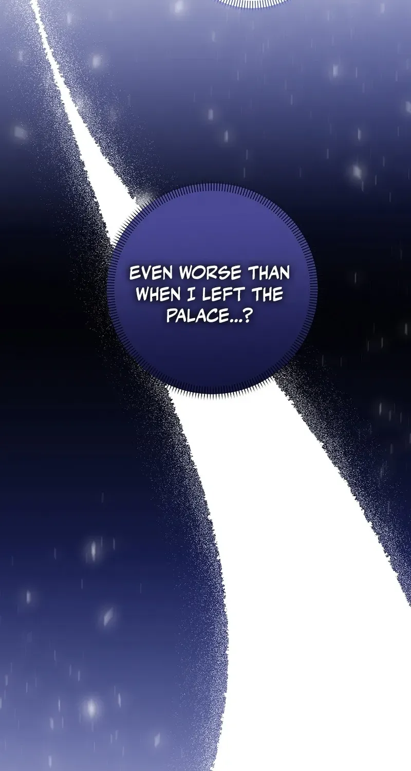 Stop Obsessing, Please Divorce Me! Chapter 6 page 78 - 