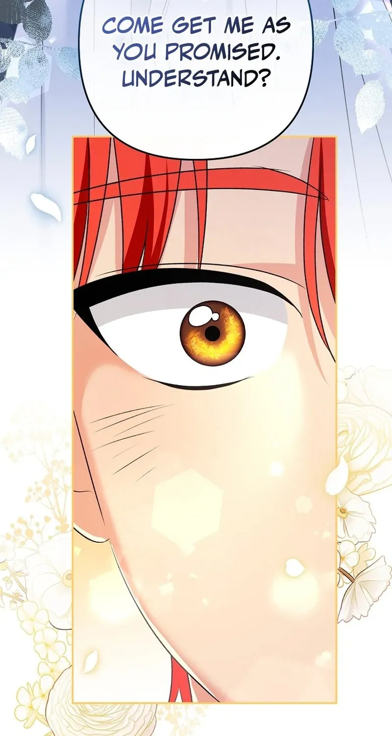 Stop Obsessing, Please Divorce Me! Chapter 7 page 79 - 