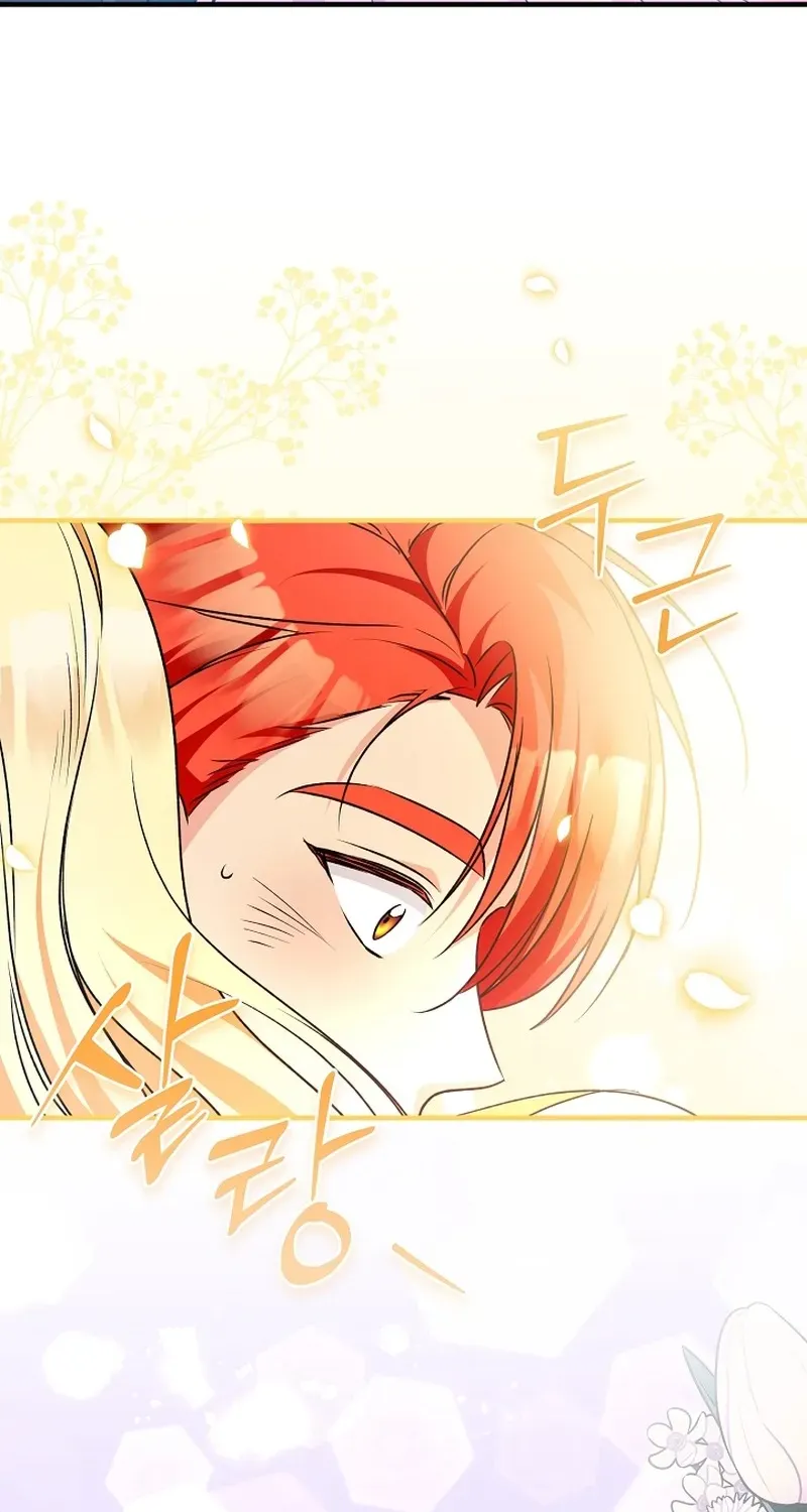 Stop Obsessing, Please Divorce Me! Chapter 8 page 15 - 