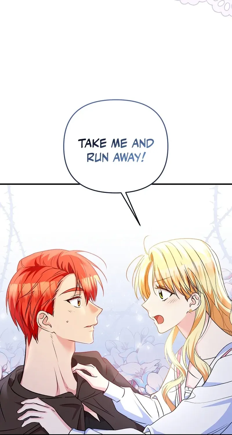 Stop Obsessing, Please Divorce Me! Chapter 8 page 19 - 