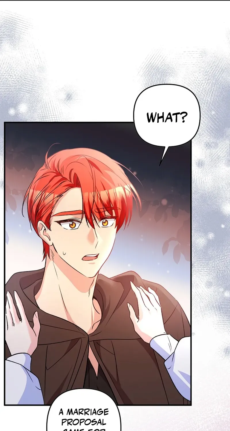 Stop Obsessing, Please Divorce Me! Chapter 8 page 20 - 