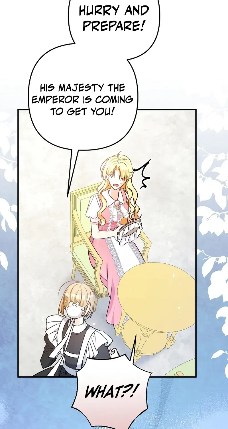 Stop Obsessing, Please Divorce Me! Chapter 8 page 43 - 