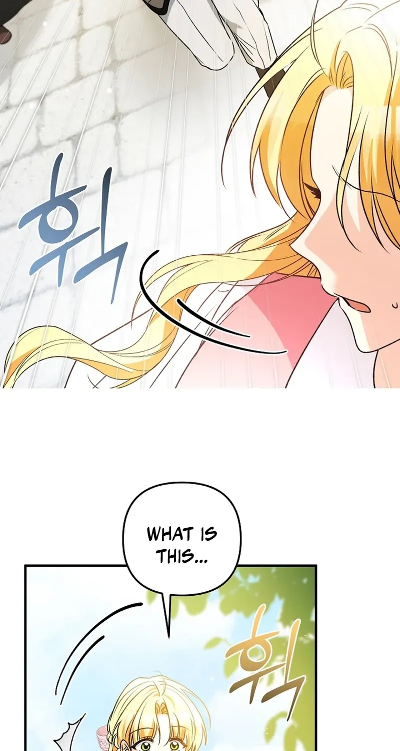 Stop Obsessing, Please Divorce Me! Chapter 8 page 60 - 