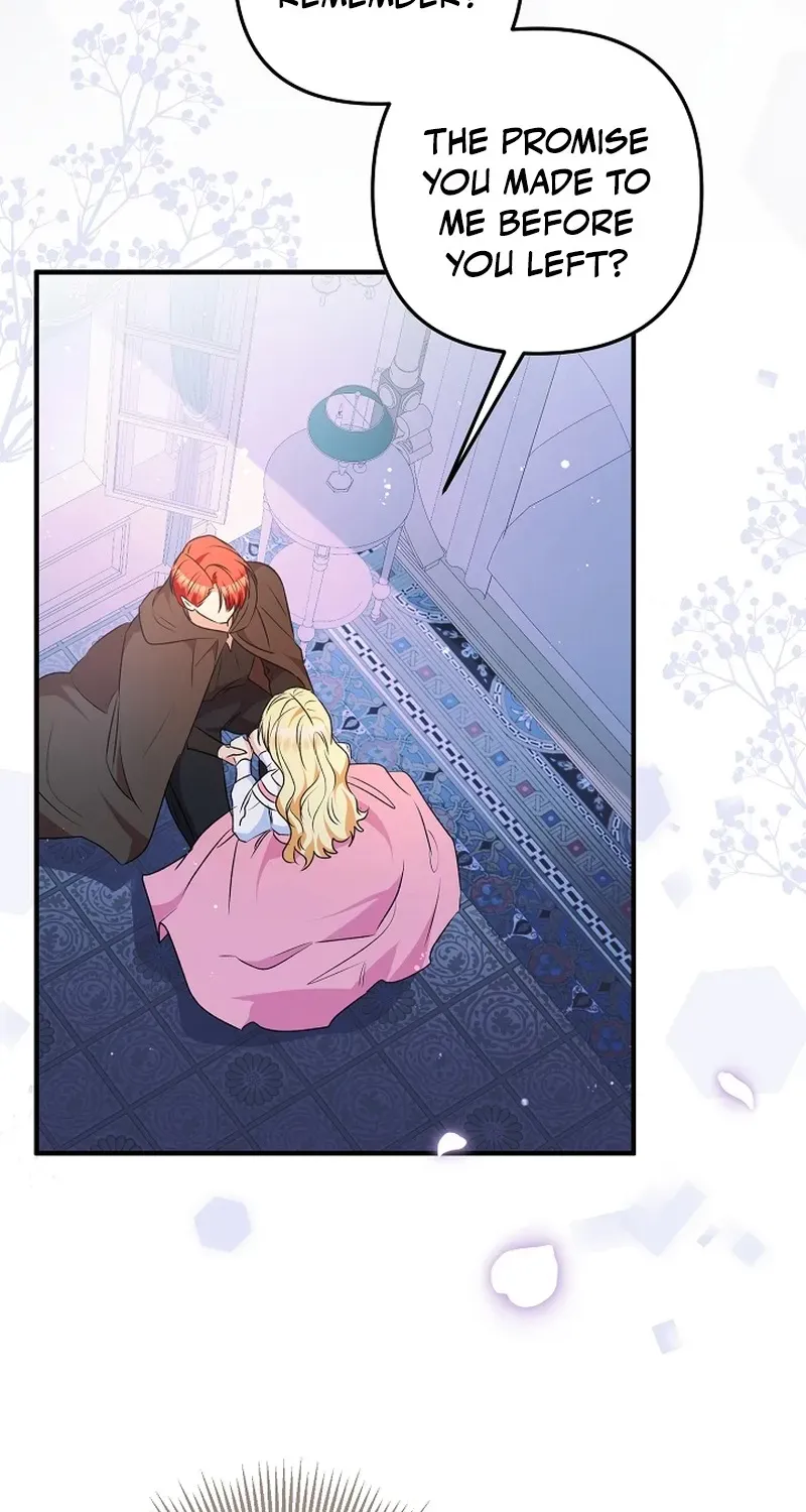 Stop Obsessing, Please Divorce Me! Chapter 8 page 9 - 