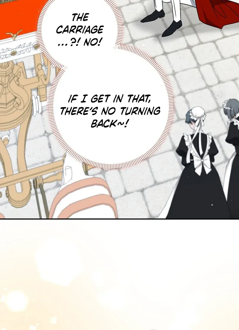 Stop Obsessing, Please Divorce Me! Chapter 8 page 84 - 