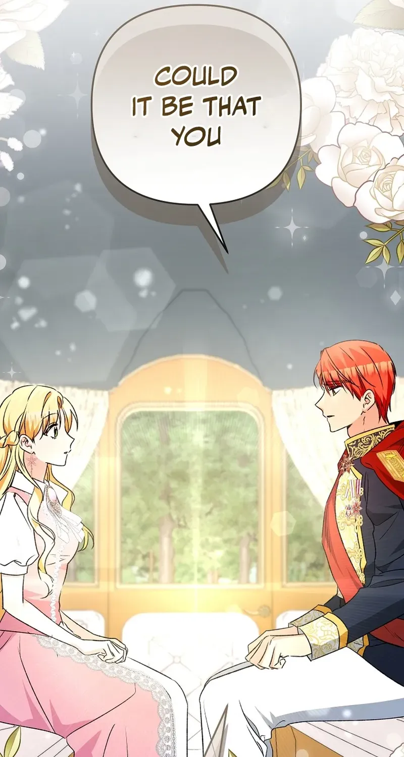 Stop Obsessing, Please Divorce Me! Chapter 9 page 27 - 