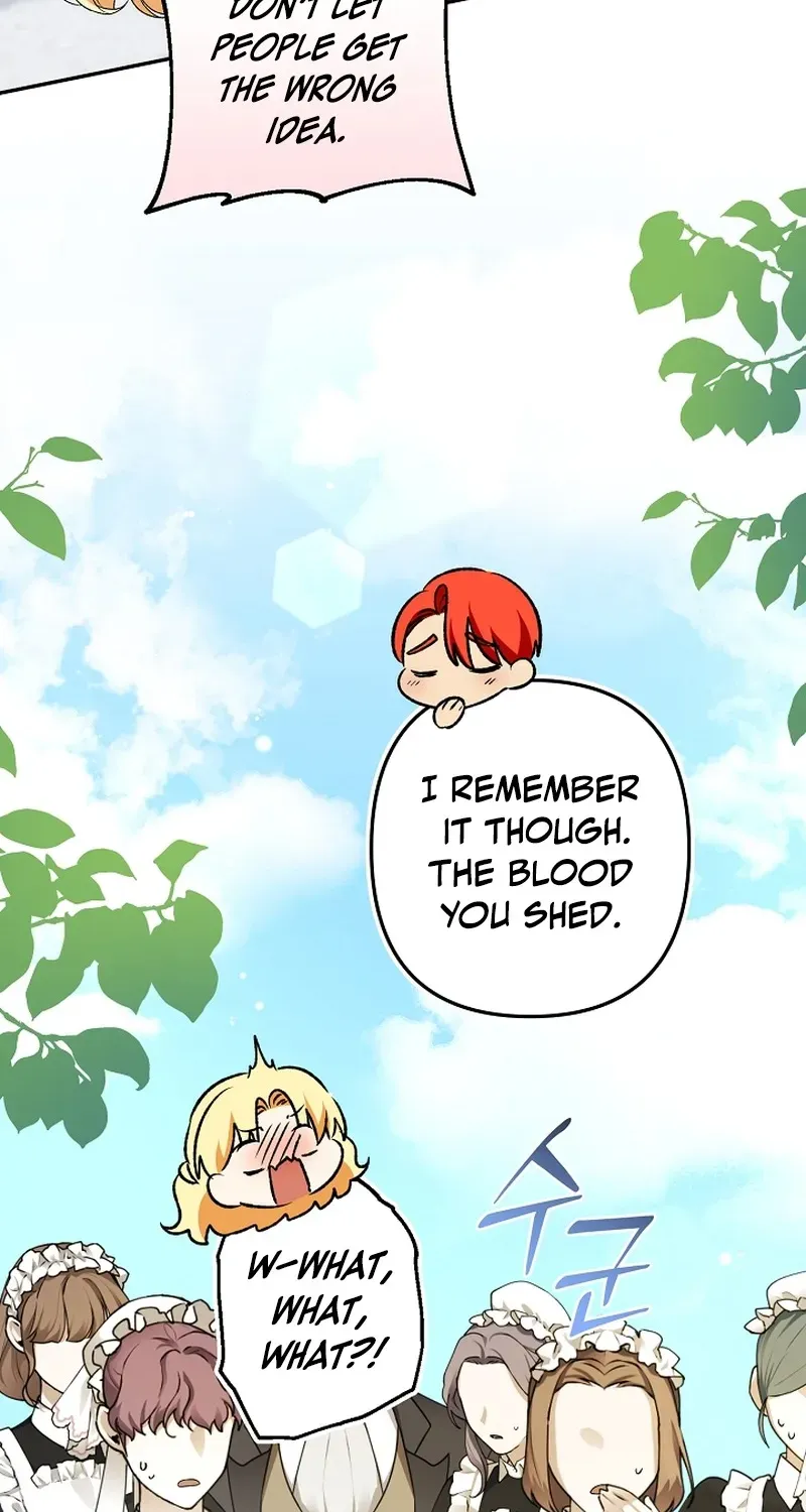 Stop Obsessing, Please Divorce Me! Chapter 9 page 5 - 