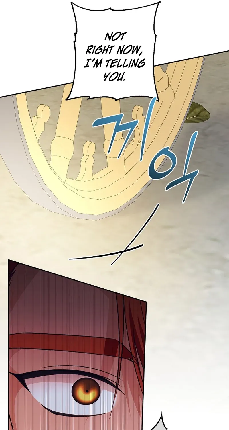 Stop Obsessing, Please Divorce Me! Chapter 9 page 91 - 