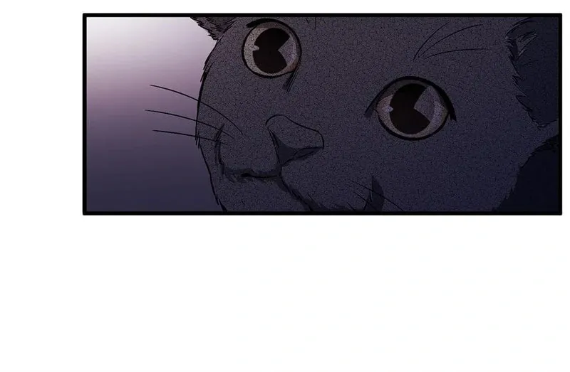 Strange Store (Colored) Chapter 41 page 86 - 