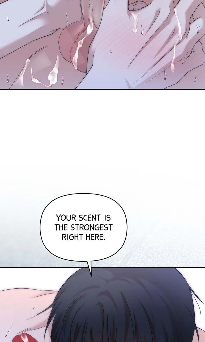 Strategic Mating Partner Chapter 16 page 62 - 