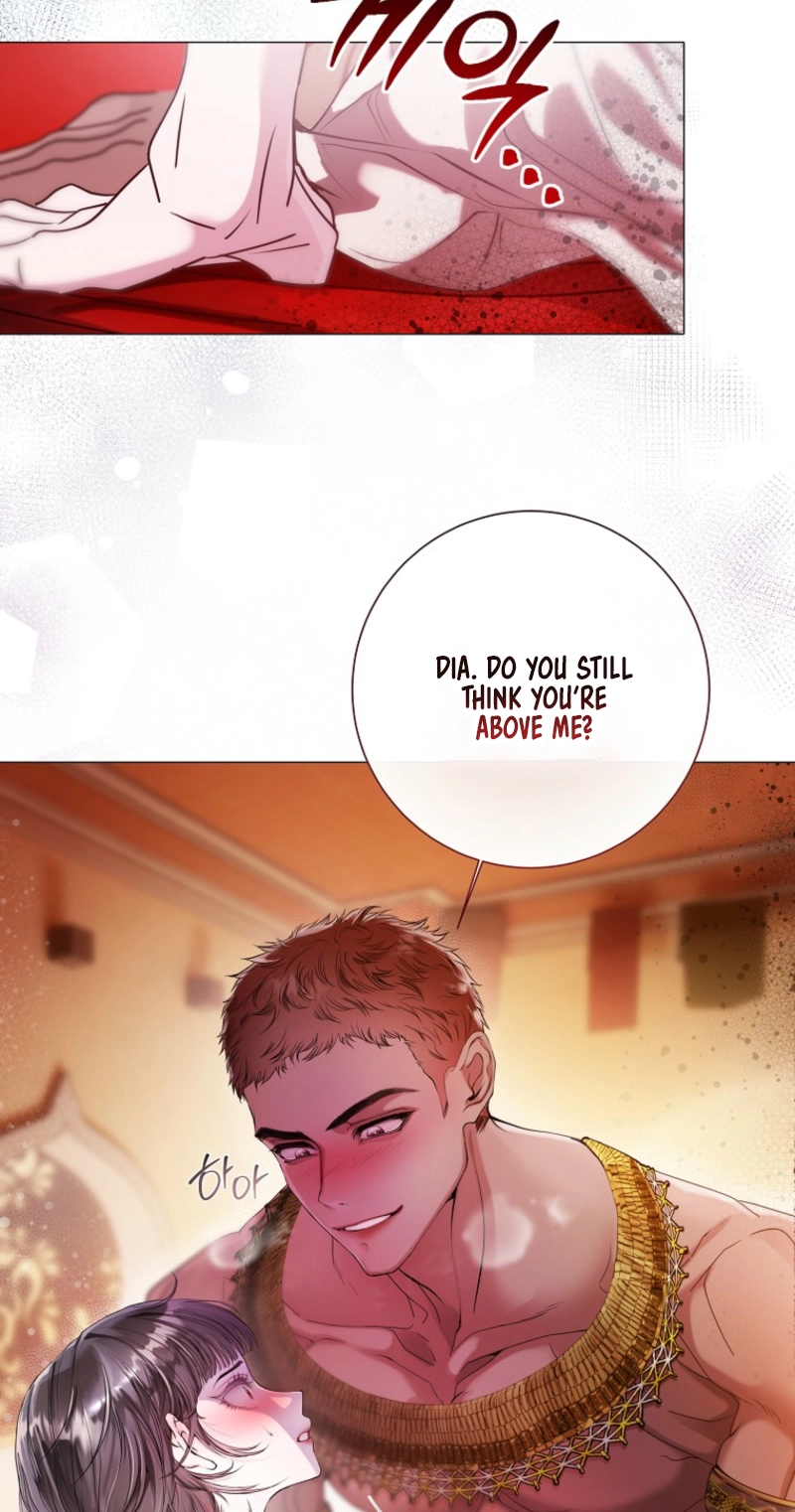 Strategy Guide for a Merry Bad Ending Chapter 25 page 5 - 