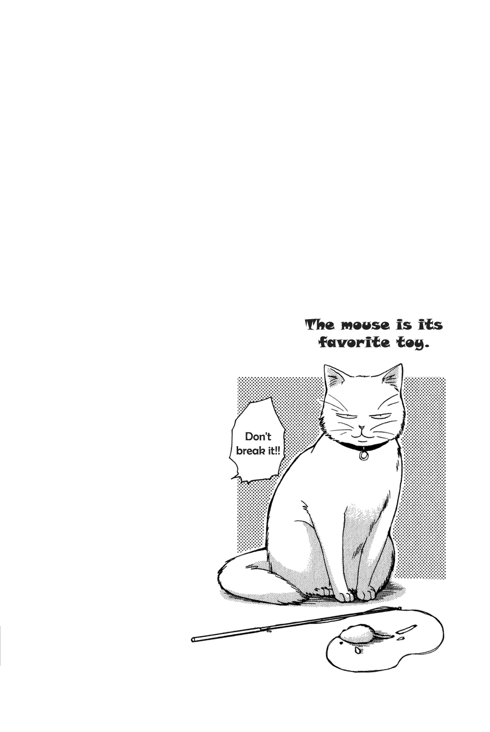Stray Cat Chapter 2 page 3 - 