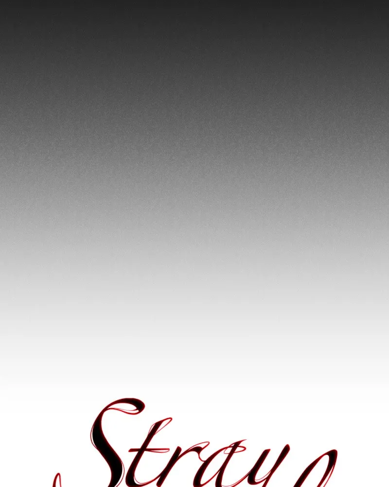 Stray Souls Chapter 100 page 103 - 