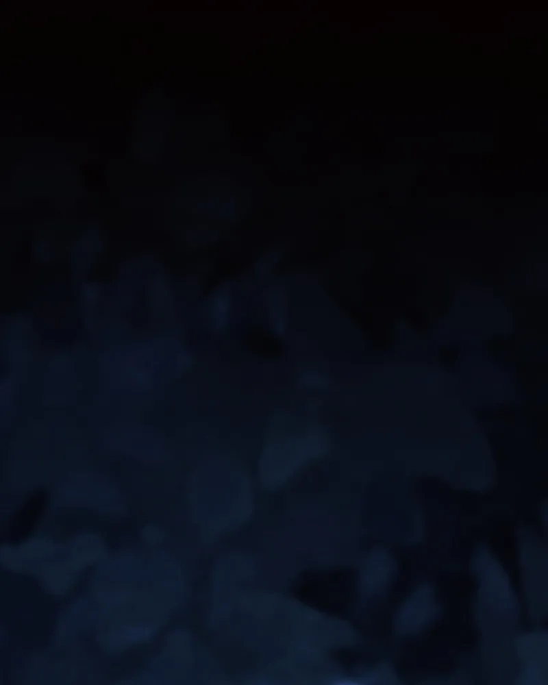 Stray Souls Chapter 110 page 57 - 