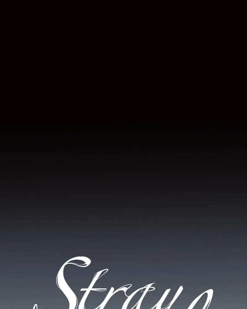 Stray Souls Chapter 111 page 155 - 