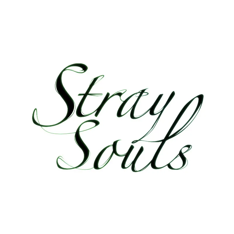 Stray Souls Chapter 26 page 101 - 