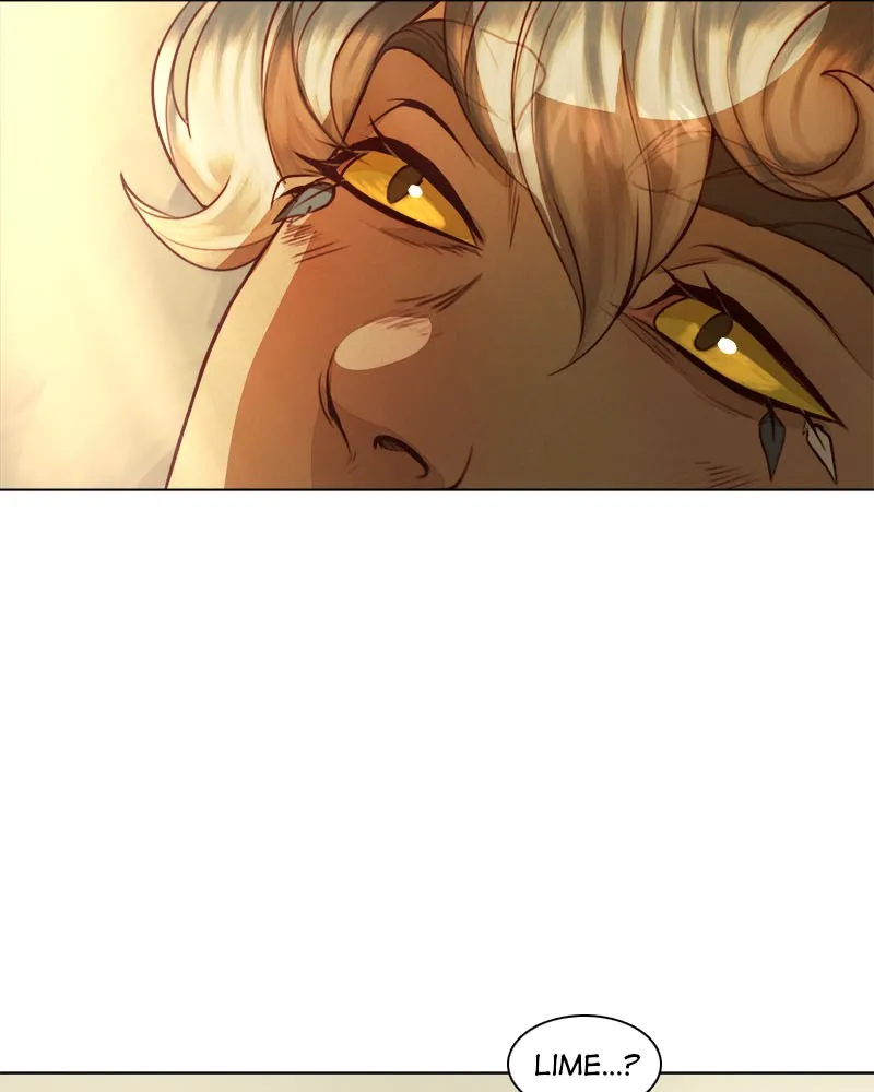 Stray Souls Chapter 31 page 45 - 