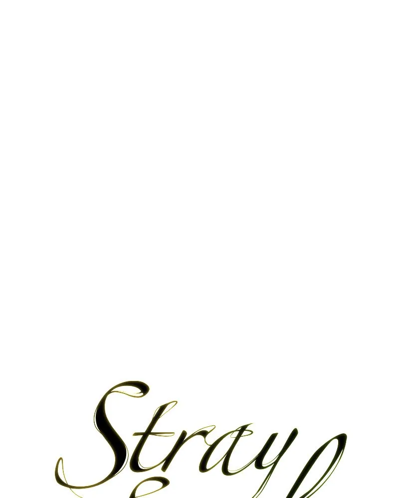 Stray Souls Chapter 31 page 78 - 