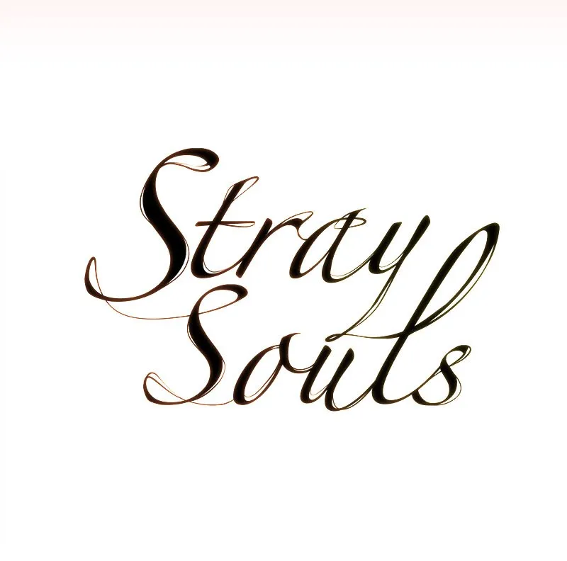 Stray Souls Chapter 33 page 13 - 