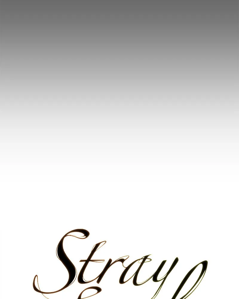 Stray Souls Chapter 38 page 173 - 