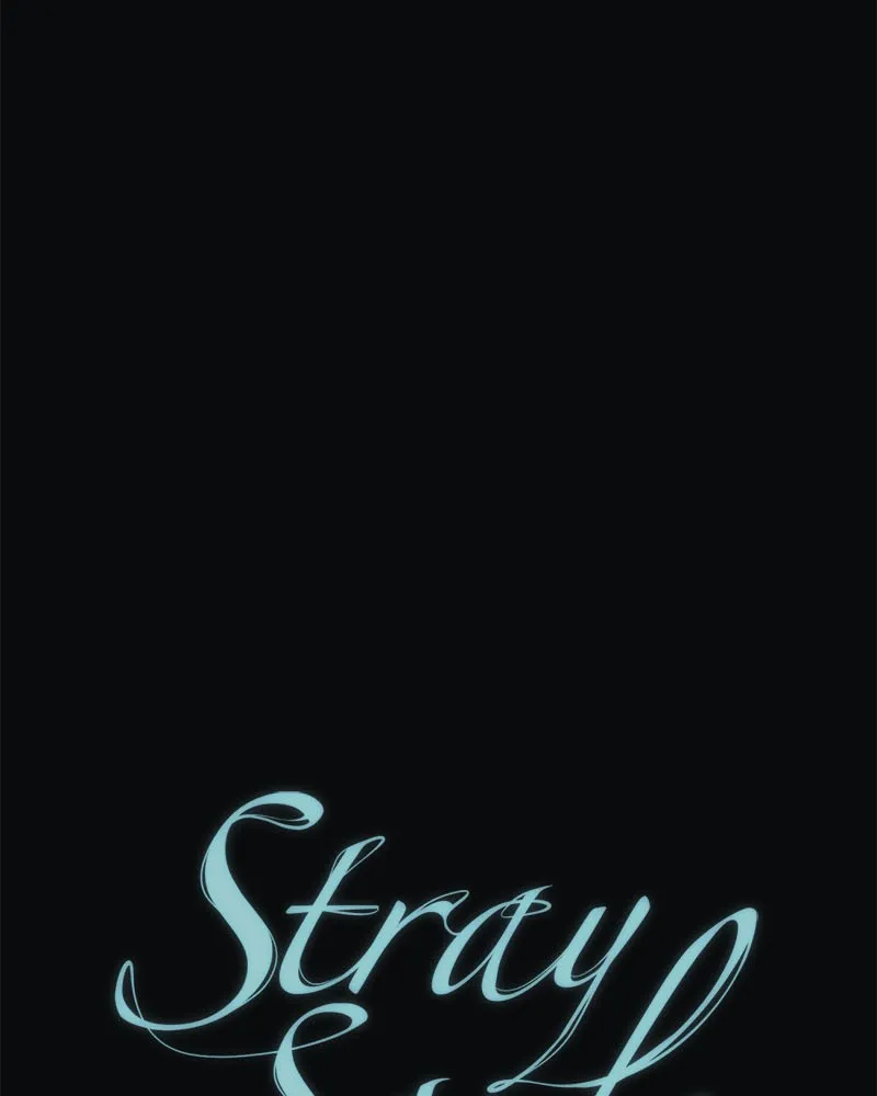 Stray Souls Chapter 50 page 142 - 
