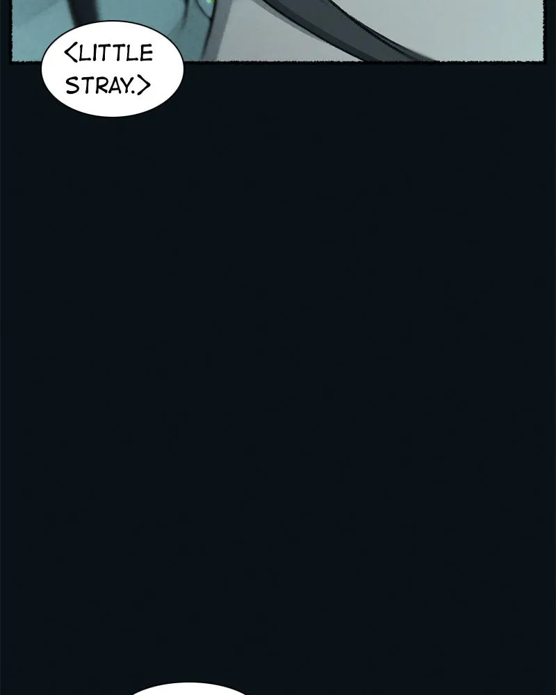 Stray Souls Chapter 62 page 88 - 
