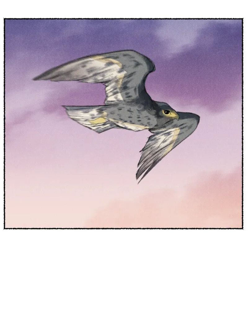 Stray Souls Chapter 71 page 23 - 