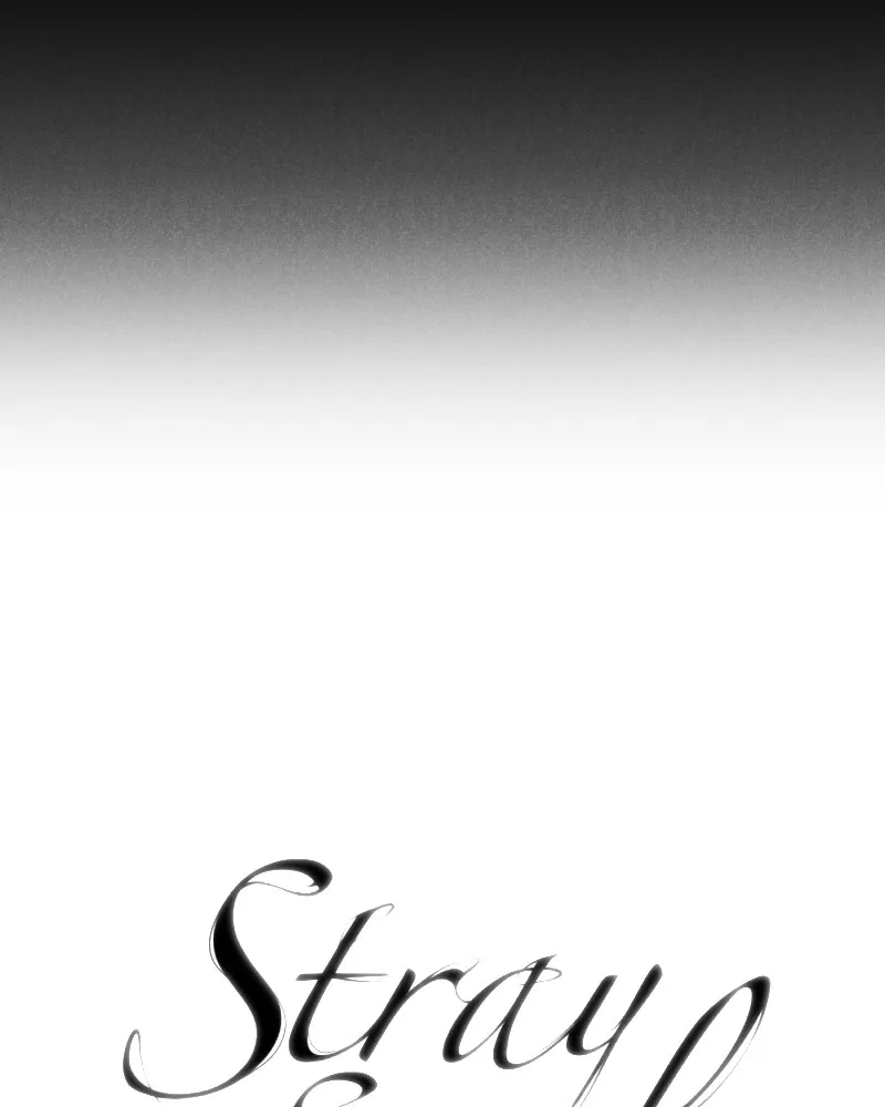 Stray Souls Chapter 84 page 106 - 