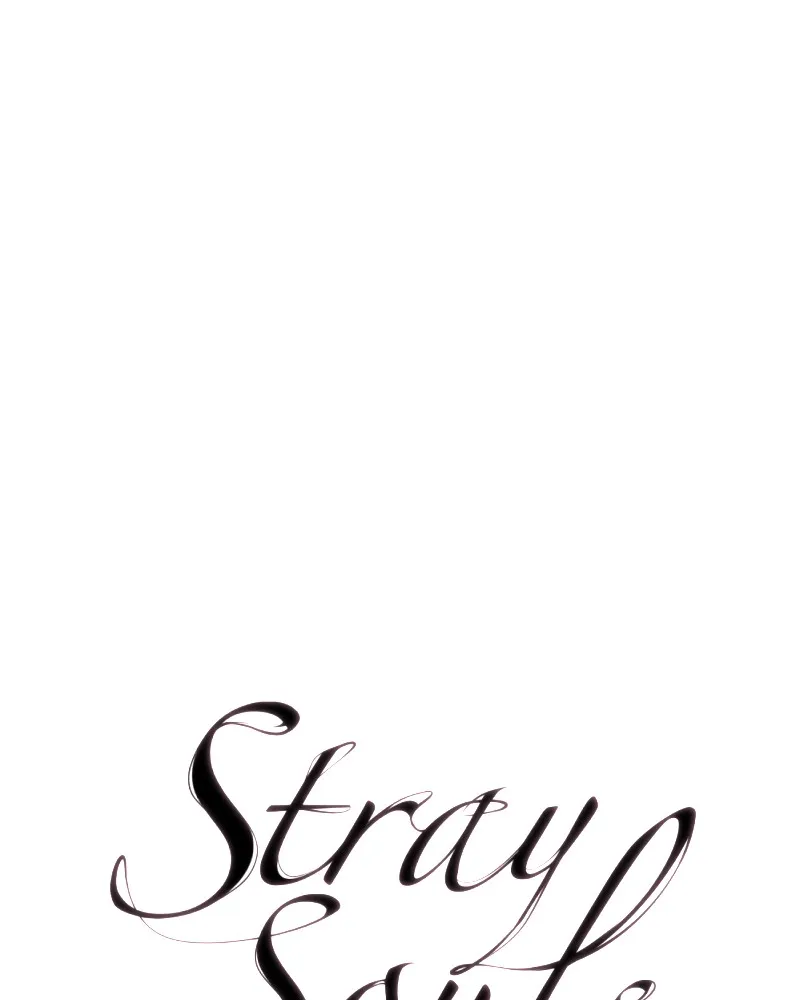 Stray Souls Chapter 85 page 94 - 