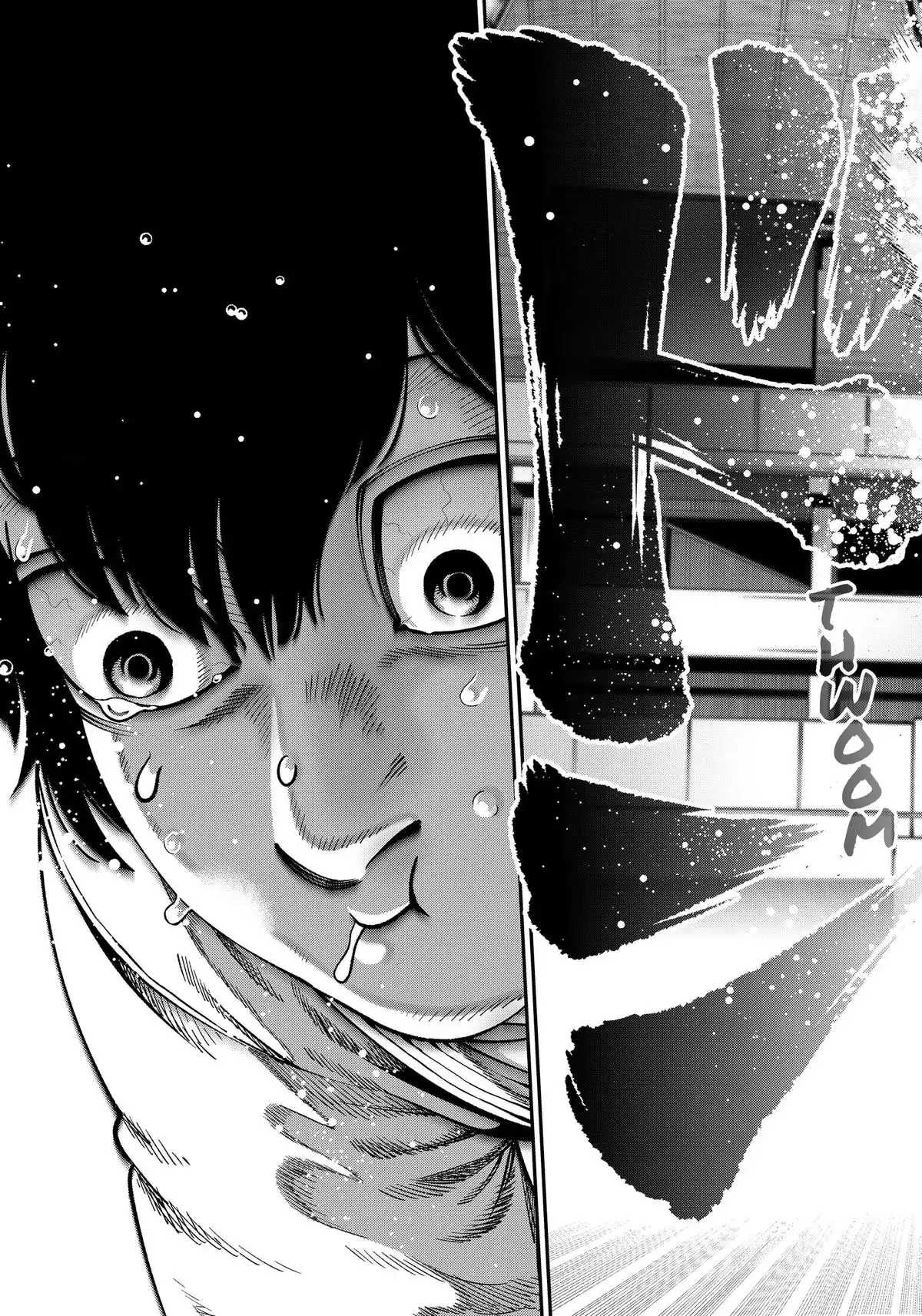 Subaru the Invincible Chapter 15 page 17 - 