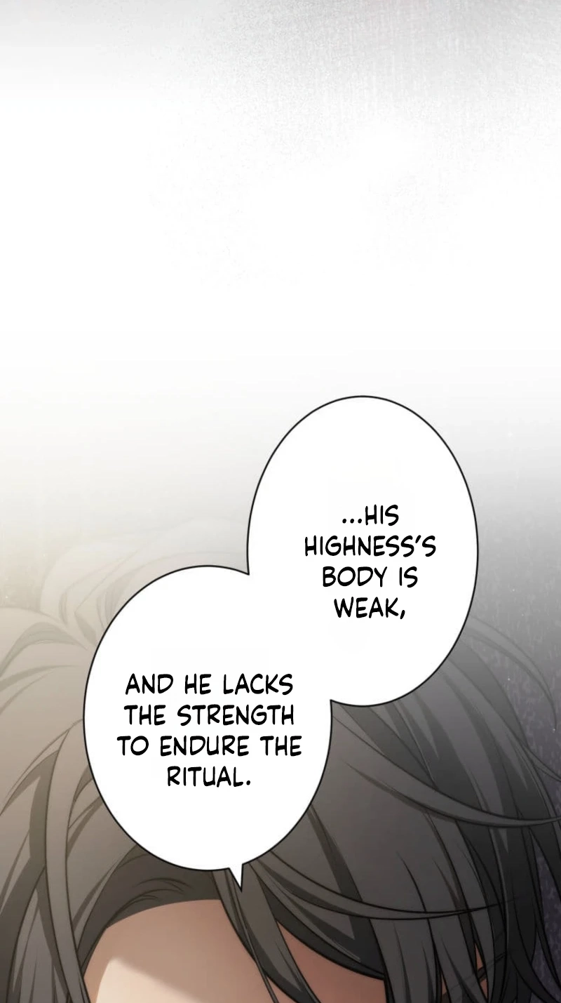 Subaru the Invincible Chapter 18 page 63 - 