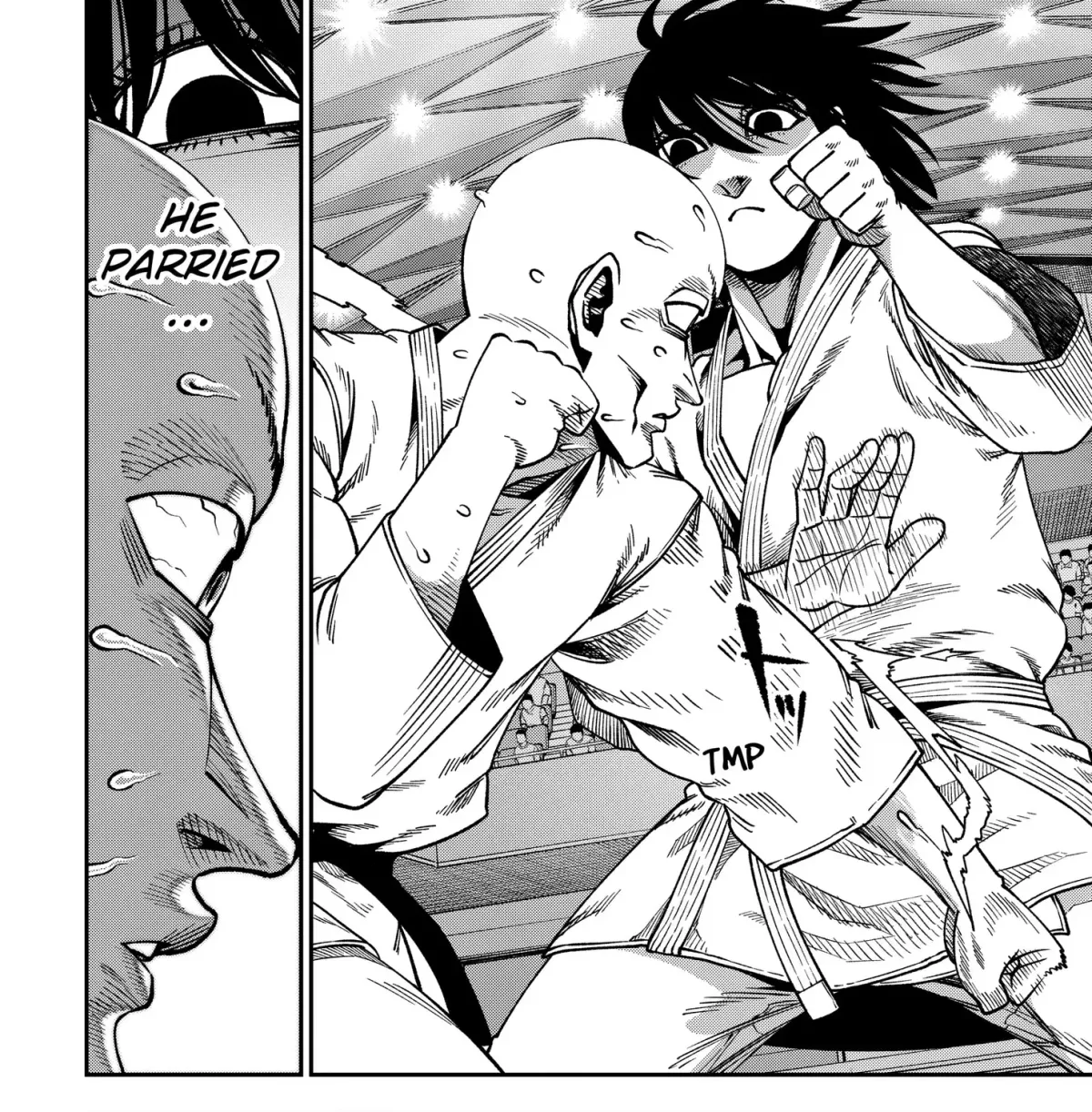 Subaru the Invincible Chapter 8.99 page 19 - 