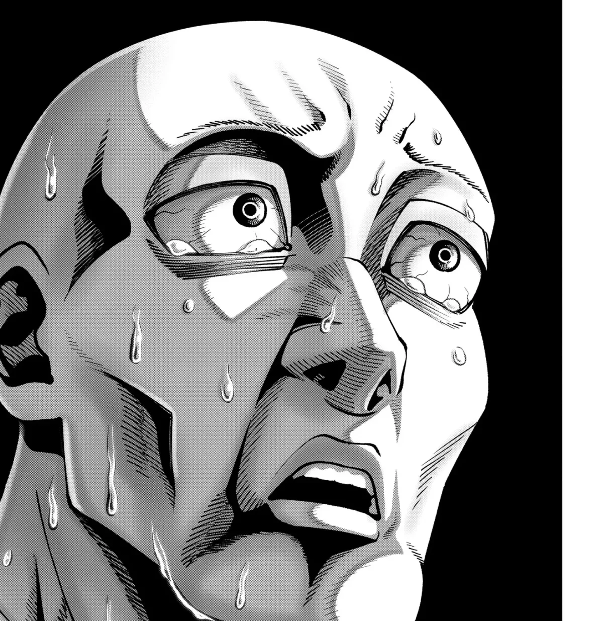 Subaru the Invincible Chapter 8.99 page 33 - 
