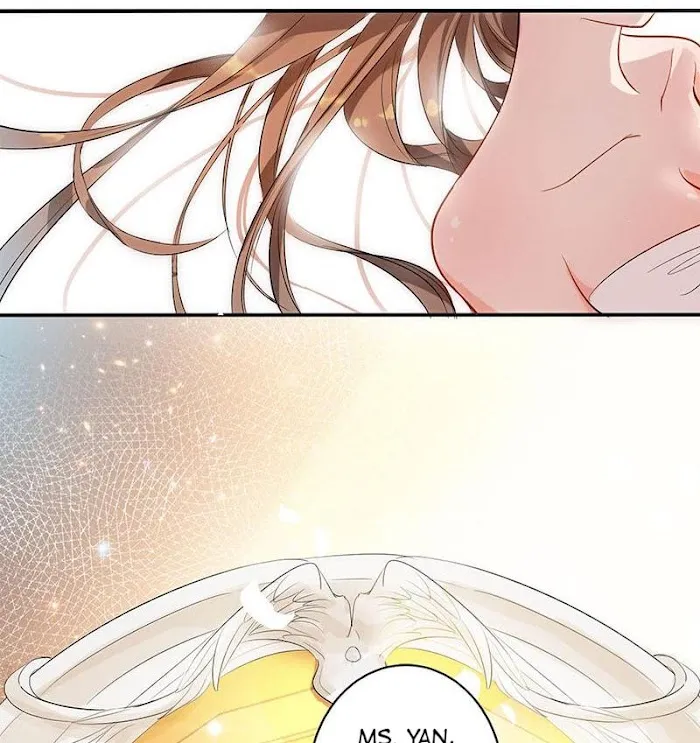 Substitute Bride Chapter 1 page 3 - 